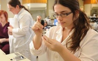 Steps to Success When Attending Vet Tech Schools Online