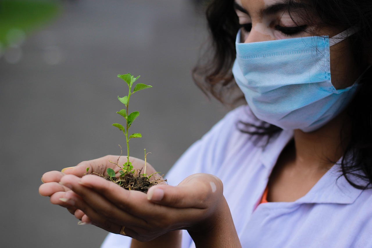 Plant, seedling, researcher — More Than a Bite: The Unexpected Consequences of Dog Attack Injuries